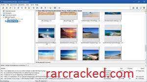 Extreme Picture Finder 3.61.0 Crack